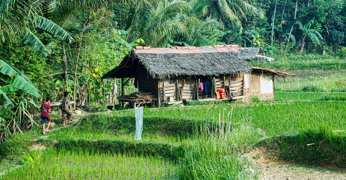 Types of Vegetation Suitable for Vegetated Roofs